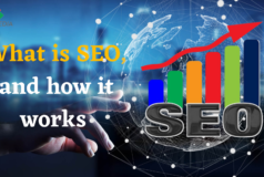 What is SEO, And How It Works | YNG Media