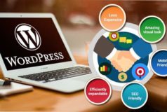 Why WordPress – A Perfect CMS For Your Website