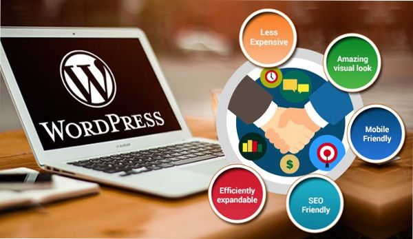 Why WordPress – A Perfect CMS For Your Website