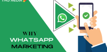 Why Whatsapp Marketing? | YNG Media